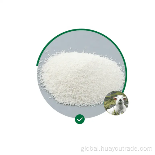 Health Supplement Food animal feed additives vitamin B5 D-Calcium Pantothenate Manufactory